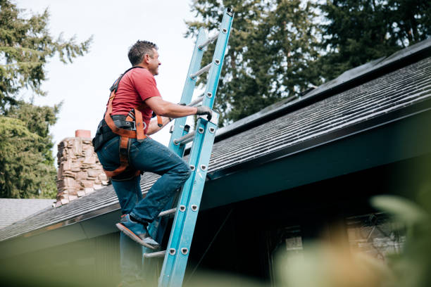 Best Gutter Installation and Repair  in Sturgis, MI