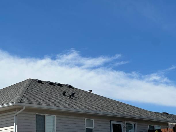 Best Roof Maintenance and Cleaning  in Sturgis, MI